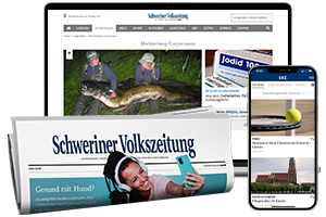 Mit DigitalBasis auf Laptop und Smartphone Zugang zu allen Artikeln auf svz.de